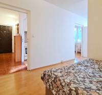 Interior of a 2-room apartment with wood-patterned flooring, kitchen, and entrance door.