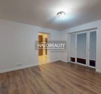 Living room in a two-room apartment with a wooden decor floor and a French window.