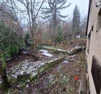 Garden at a family house on Búdková Street in Bratislava - Old Town, trees and stones.