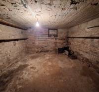 A basement with unplastered brick walls and a concrete ceiling in a family house.