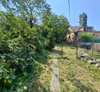 Garden with a path and an older house in the location of Bratislava - Staré Mesto, Búdková.