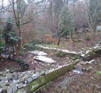 Garden at a family house on Búdková in Bratislava - Staré Mesto, with a broken fence and trees.