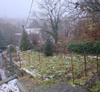 A lush garden at a family house on Búdková Street in Bratislava - Old Town.