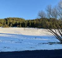 Snow cover on residential land in Dolná Lehota, surrounded by forest.