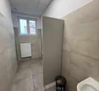 Offices with gray paneling and a toilet, with a small window and a ribbed radiator.