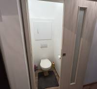 A toilet with a wooden decor floor in a studio apartment.