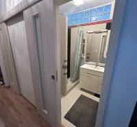 Bathroom in a studio apartment with a sink, shower corner, and floor with wood decor.