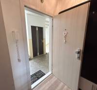 Entrance door with a decorative pendant and floor with wooden decor in a studio apartment.