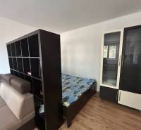 1-room apartment with a sofa bed, shelf, bed, and wardrobe. Floor with wood decor.