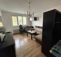 Living room in a studio apartment with a sofa, table, and wood-patterned flooring.