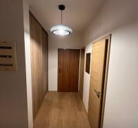 A hallway in a 2-room apartment with a wooden decor floor and a pendant light.