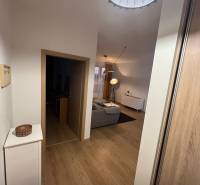 A hallway in a 2-room apartment with a wooden decor floor, leading to the living room.