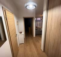 A hallway in a 2-room apartment with a wooden decor floor and simple lighting.