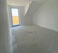 A room in a family house with glass doors and a sloped ceiling, empty floor.