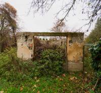 Overgrown ruins of an old family house on Partizánska Street in Bánovce nad Bebravou.