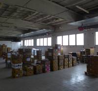 A spacious interior of warehouses and halls with a lot of stacked boxes.