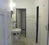 White bathroom with a sink, radiator, and disabled toilet in warehouses and halls.