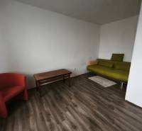 A one-room apartment with a wooden-patterned floor, a green sofa, and a red armchair.