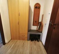 Entrance hall of a one-room apartment with a shelf, mirror, wardrobe, and floor with a wooden decor.