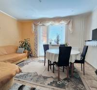 Living room of a family house with a dining table, sofa, and television on a shelf.
