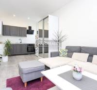 Living room in a two-room apartment with a kitchenette and a wooden decor floor.