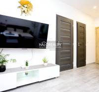 Living room in a two-room apartment with a TV, two doors, and plants.
