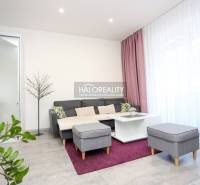 Living room in a 2-room apartment with a sofa, coffee table, and plants.