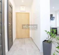 A hallway in a 2-room apartment with tiles, wooden doors, and a plant in a pot.
