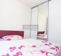 Bedroom in a 2-room apartment with a bed and wardrobe, bright interior, flowers on the duvet.