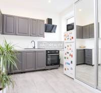 A kitchen in a 2-room apartment with white walls, gray cabinets, and a plant.