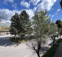 View from a 5 or more room apartment on Medveckého Street in Ružomberok, surrounded by trees.