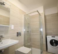 A bathroom in a studio apartment with a sink, shower, and washing machine.