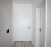 A hallway of a studio apartment with white walls and a floor with a wooden decor.