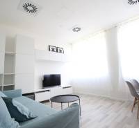 Living area of a studio apartment with a sofa, television, and wooden decor flooring.