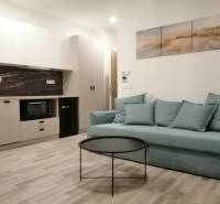 Studio apartment with a kitchen, blue sofa, round table, and wood-patterned flooring.