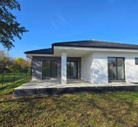 A family house in Piešťany with a terrace and a green garden.