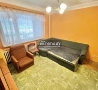 Living room in a 4-room apartment with orange walls and a green carpet.