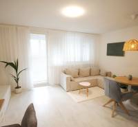 Spacious living room with a comfortable sofa, wooden decor flooring, dining table.