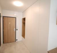 The entrance hall of a one-room apartment with a wooden decor floor and wooden doors.