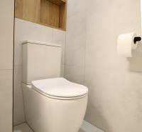 Toilet with wooden decor, shelves, and tiles in a studio apartment.