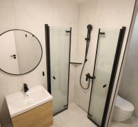 Bathroom in a studio apartment with a glass shower enclosure and minimalist design.