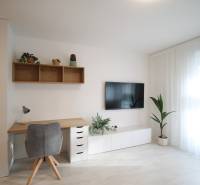Interior of a 1-room apartment with a desk, TV, and plants, floor with wooden decor.