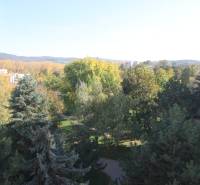 View from Valová Street in Piešťany with dense greenery and gentle hills in the background.