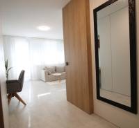 1-bedroom apartment with a large mirror and a floor with a wooden decor.