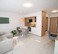 Interior of a 1-room apartment with a kitchenette, gray sofa, and dining table.