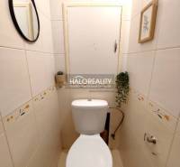 Bathroom in a 2-room apartment with a toilet, mirror, and a plant on the wall.