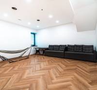 Living room with a sofa, hammock, and wood-patterned floor in a family house.