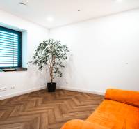 A room in a family house with an orange couch, a plant, and a wooden decor floor.