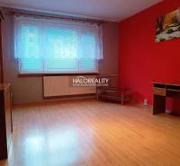 Interior of a 3-room apartment with a red wall and a floor with a wood decor.