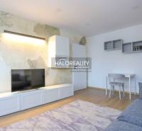 Living room in a two-room apartment with a wood-patterned floor and a television.